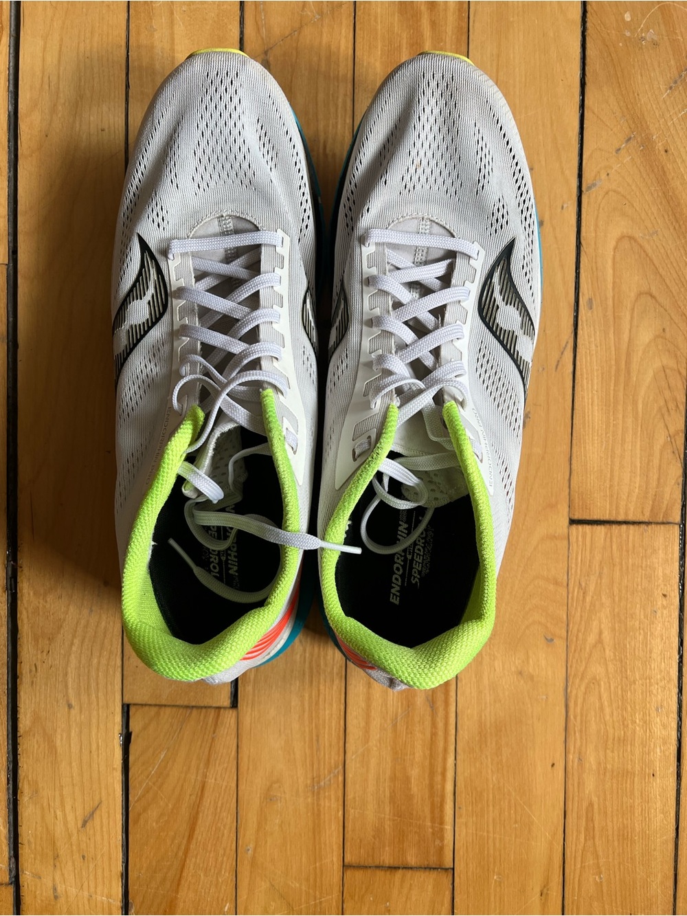 Saucony Endorphin Pro size 12